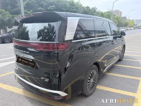 2025 Denza D9 5
