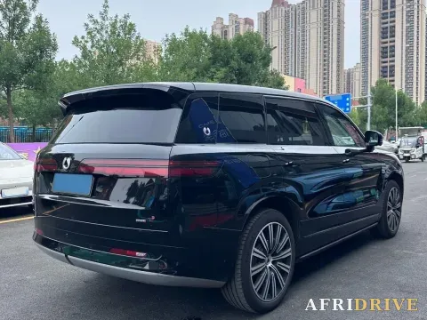 2025 Denza DenzaN9 4