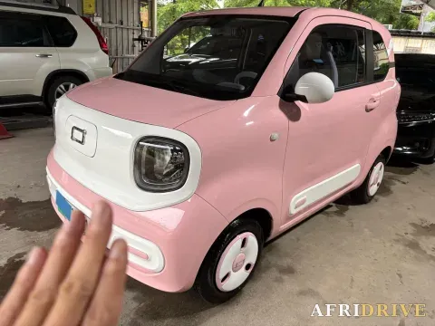 2024 Bestune Pony 2