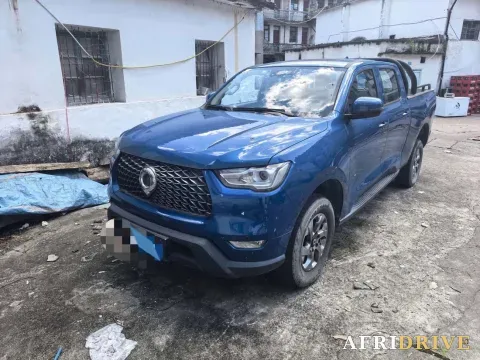 2021 Great Wall Poer