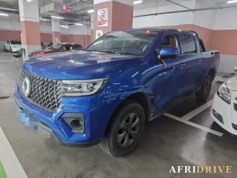 2023 Great Wall Poer