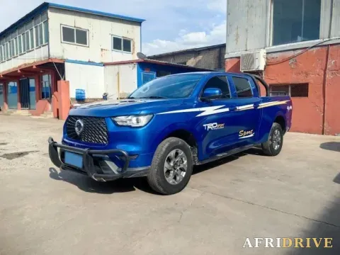 2021 Great Wall Poer