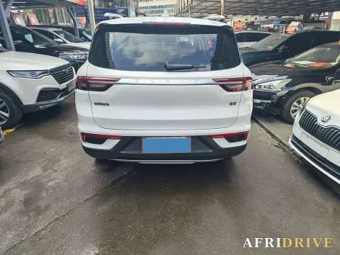 2020 Geely Okavango 11