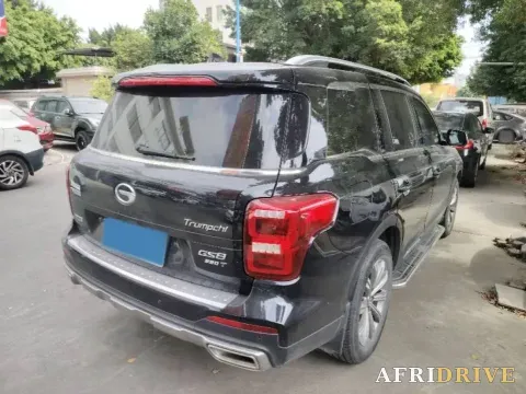 2020 GAC Trumpchi GS8 8