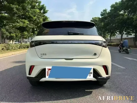 2023 BYD Dolphin 3