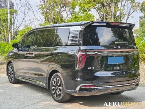 2023 HongQi HQ9 9