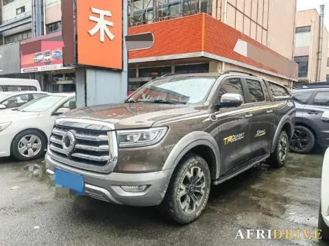 2021 Great Wall Poer