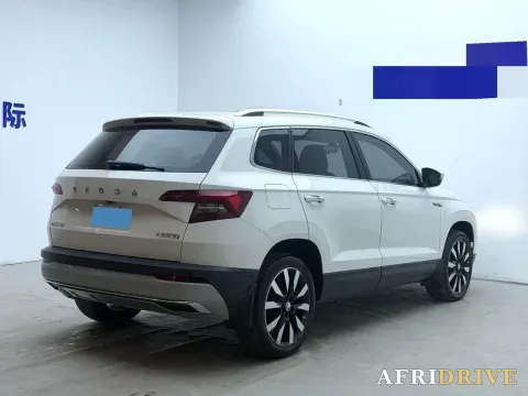 2021 Skoda Karoq 19