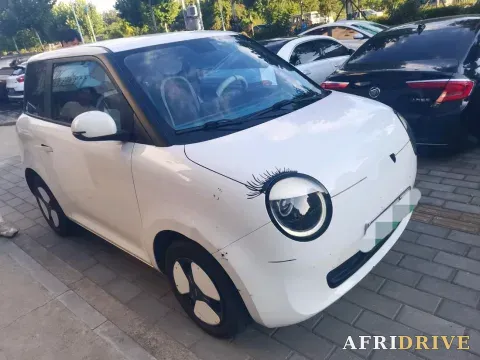 2022 Levdeo Mango 2