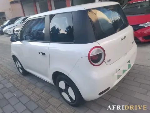 2022 Levdeo Mango 4