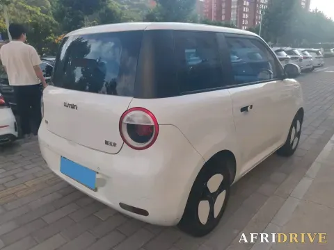 2022 Levdeo Mango 5