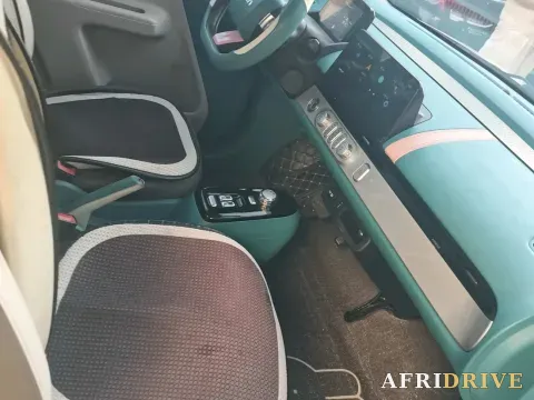 2022 Levdeo Mango 6