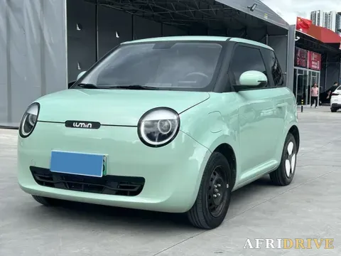 2022 Levdeo Mango