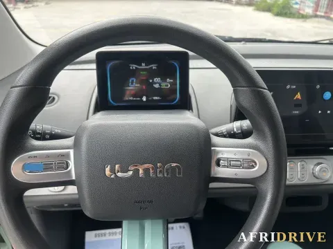 2022 Levdeo Mango 5