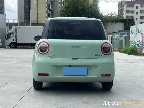 2022 Levdeo Mango 7