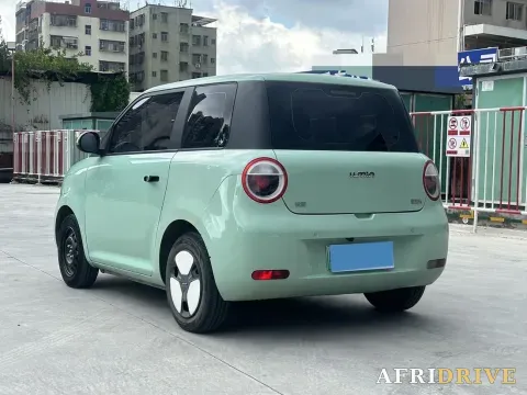 2022 Levdeo Mango 8