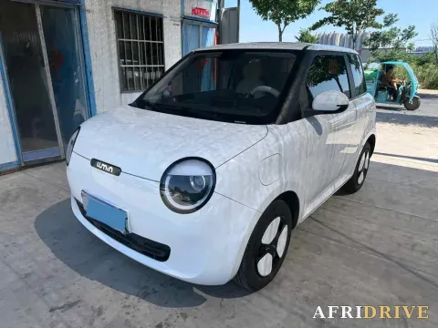 2022 Levdeo Mango