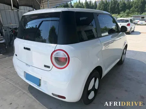 2022 Levdeo Mango 8