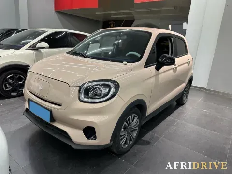2021 Leapmotor T03