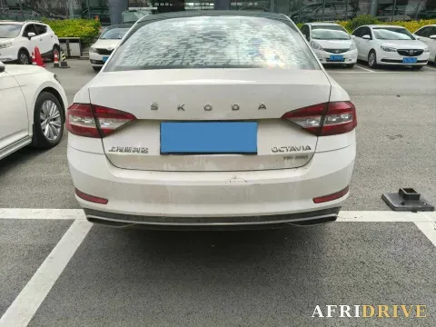 2020 Skoda Octavia 8