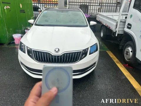 2019 Skoda Octavia 2