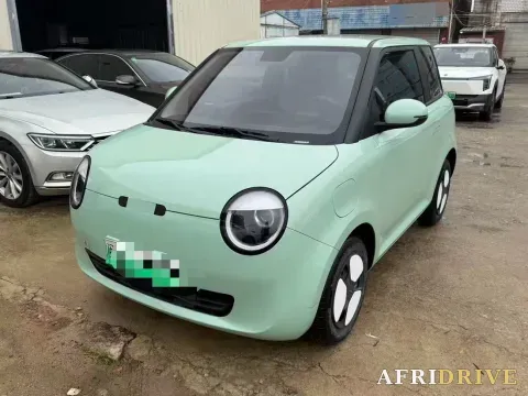 2022 Levdeo Mango
