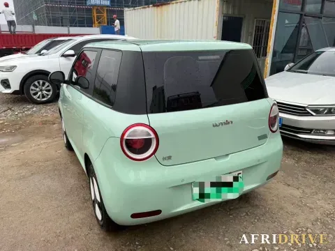 2022 Levdeo Mango 5