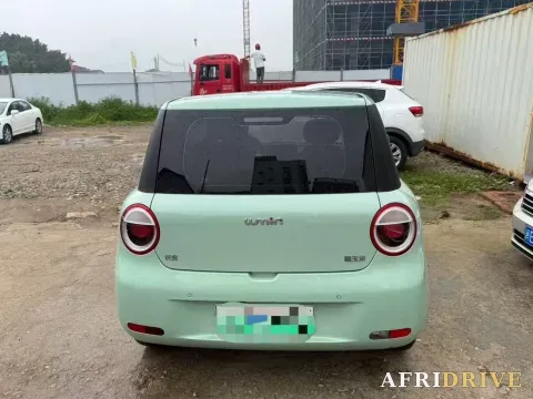 2022 Levdeo Mango 6