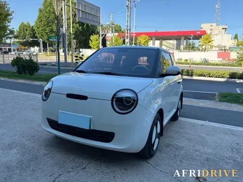 2023 ChangAn QiYuan Lumin