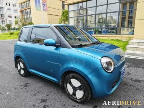2022 Levdeo Mango 4