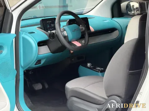2022 Levdeo Mango 2