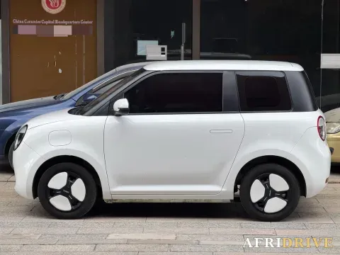 2022 Levdeo Mango 3