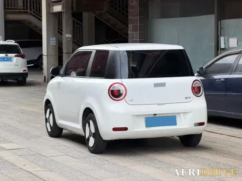 2022 Levdeo Mango 5