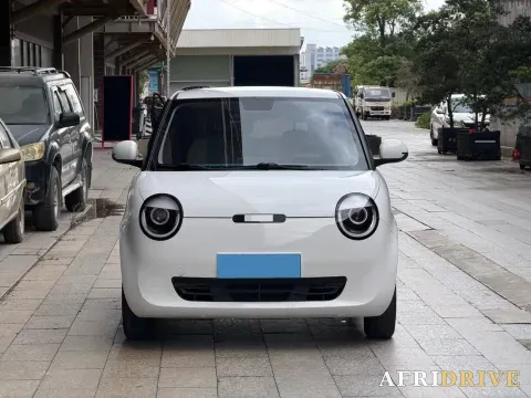 2022 Levdeo Mango 7