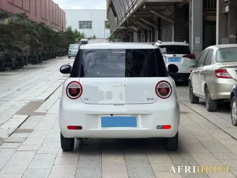 2022 Levdeo Mango 8