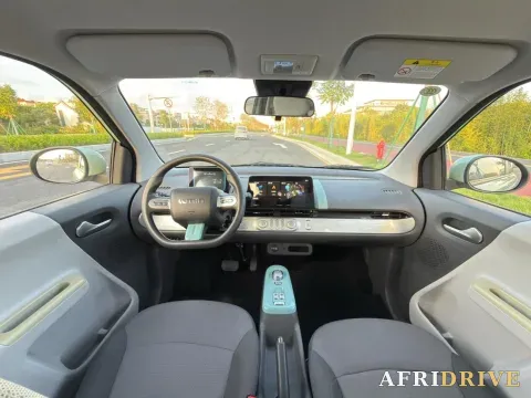 2022 Levdeo Mango 6
