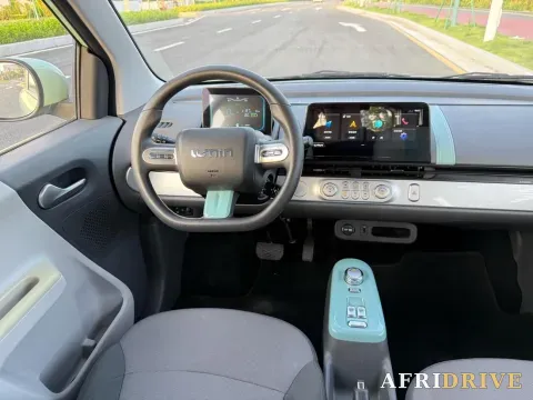 2022 Levdeo Mango 8