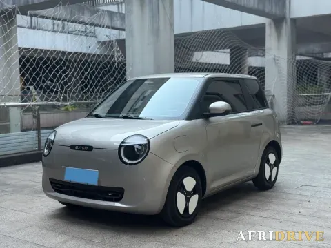 2022 Levdeo Mango