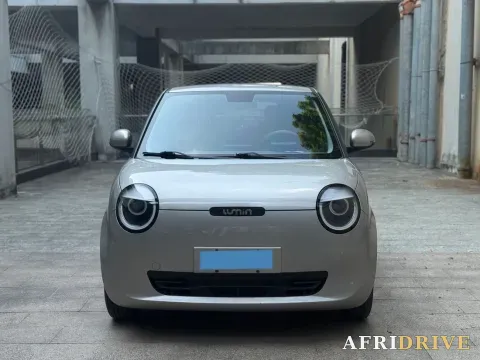 2022 Levdeo Mango 2
