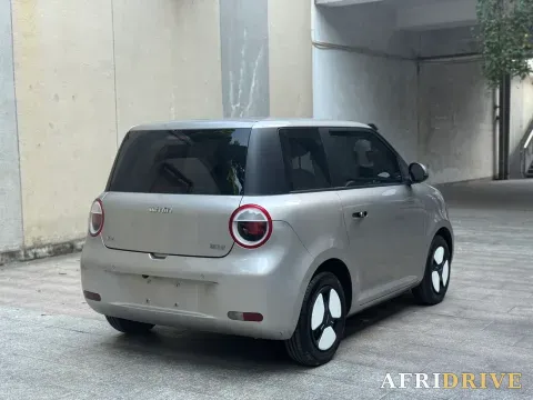 2022 Levdeo Mango 4