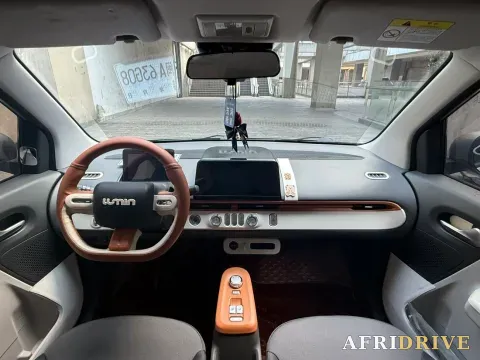 2022 Levdeo Mango 7