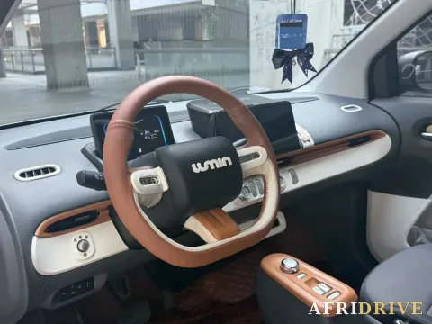 2022 Levdeo Mango 8
