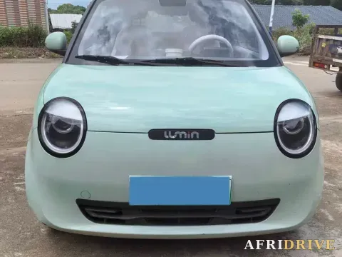 2022 Levdeo Mango 2