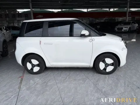 2022 Levdeo Mango 2
