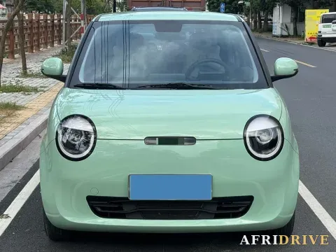 2022 Levdeo Mango 2