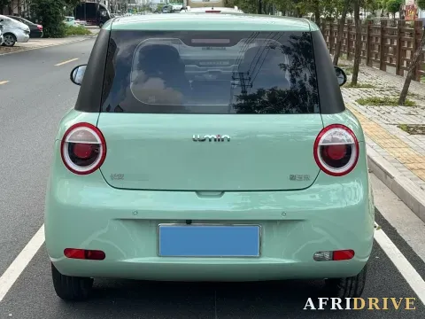 2022 Levdeo Mango 3
