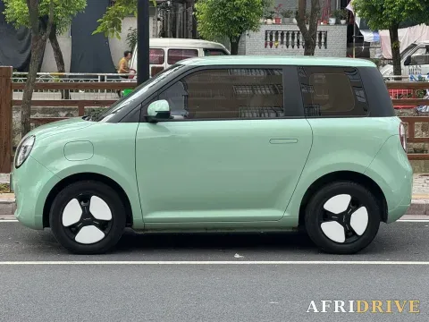 2022 Levdeo Mango 4
