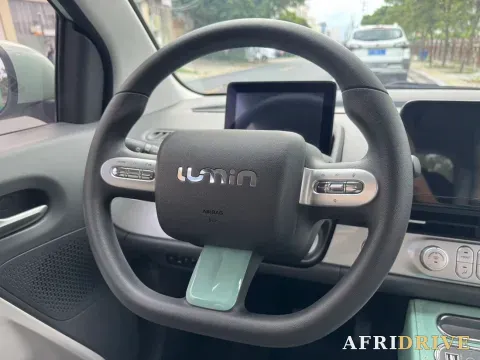 2022 Levdeo Mango 9