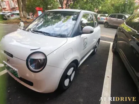 2022 Levdeo Mango