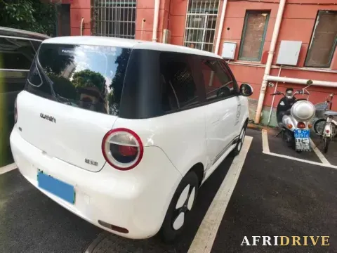 2022 Levdeo Mango 2